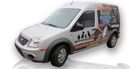 Dog_House_Transit.jpg